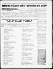 Síða 3