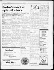 Síða 3