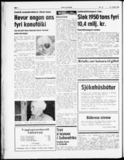 Síða 4