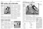 Síða 13