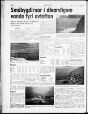Síða 4