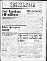 Síða 1