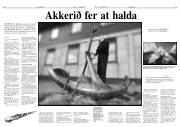 Síða 11