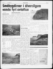 Síða 5
