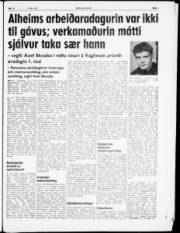 Síða 3