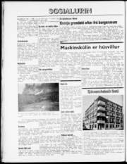 Síða 8