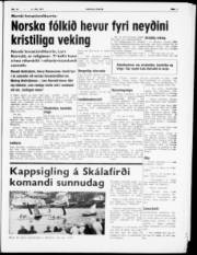Síða 3
