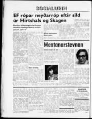 Síða 8