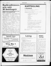 Síða 3