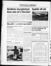 Síða 4