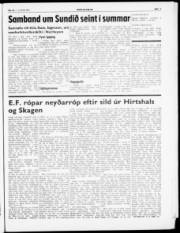Síða 9