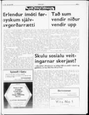 Síða 3