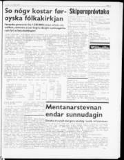 Síða 3