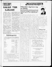 Síða 3
