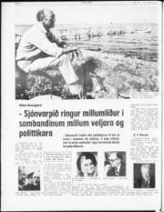 Síða 4