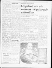 Síða 9