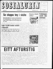 Síða 1