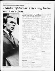 Síða 5