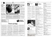 Síða 13