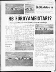 Síða 6