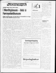 Síða 3