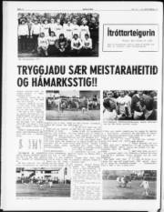 Síða 8