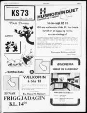 Síða 13