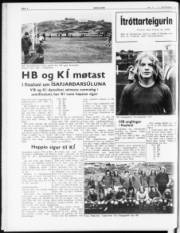 Síða 6