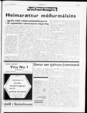 Síða 3