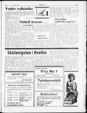 Síða 3
