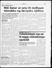Síða 3