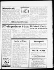 Síða 3