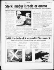 Síða 8
