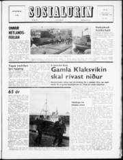 Síða 1
