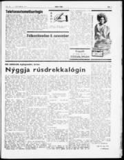 Síða 3