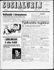Síða 1