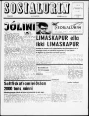 Síða 1