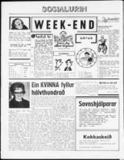 Síða 12