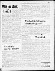 Síða 3
