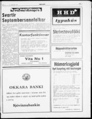 Síða 3