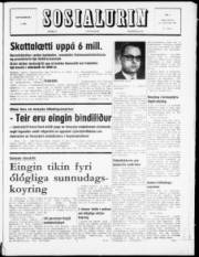 Síða 1