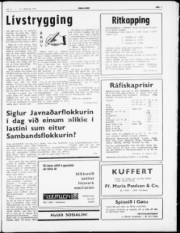 Síða 3