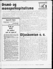 Síða 3