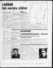 Síða 9