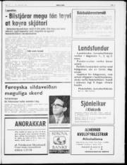 Síða 3