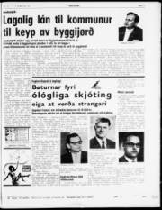 Síða 3