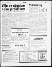 Síða 3