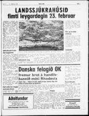 Síða 3