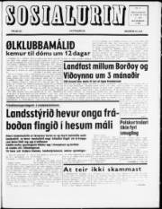 Síða 1