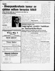 Síða 3